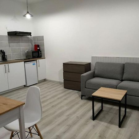 Saint Etienne Studio Lot 8 Διαμέρισμα Τουλούζη Εξωτερικό φωτογραφία